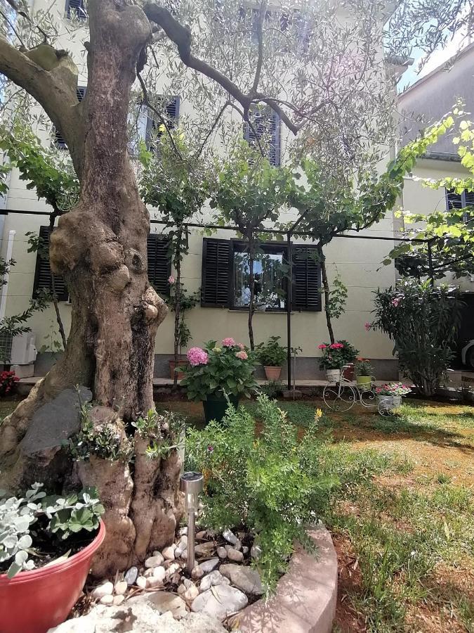 PUY Apartment Oliva מראה חיצוני תמונה