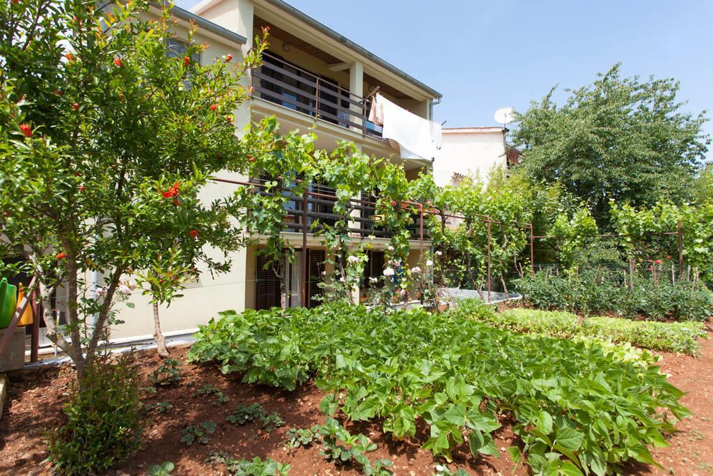 PUY Apartment Oliva מראה חיצוני תמונה